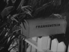frankenweenie-054