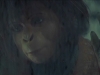 planet-of-the-apes-216