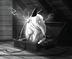 Frankenweenie-Production-Croquis-032