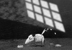 Frankenweenie-Production-Croquis-096