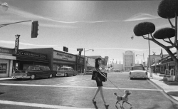 Frankenweenie-Production-Croquis-131