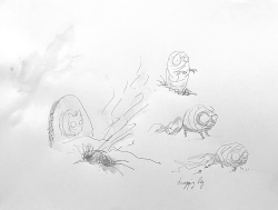 Frankenweenie-Production-Croquis-002