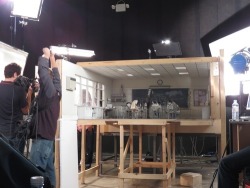 Frankenweenie-Tournage-115