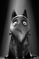 Frankenweenie-Promotion-53