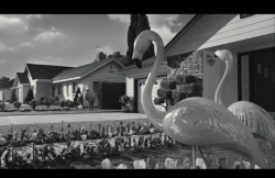 Frankenweenie2012-Film-023