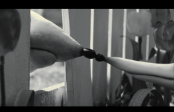 Frankenweenie2012-Film-042