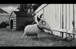 Frankenweenie2012-Film-040