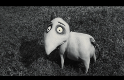 Frankenweenie2012-Film-054