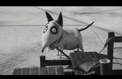 Frankenweenie2012-Film-063
