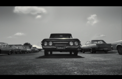 Frankenweenie2012-Film-069