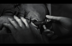 Frankenweenie2012-Film-105