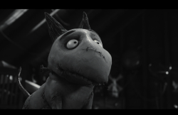 Frankenweenie2012-Film-130