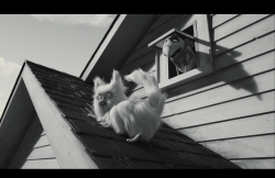 Frankenweenie2012-Film-134