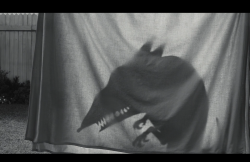 Frankenweenie2012-Film-140