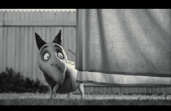 Frankenweenie2012-Film-142