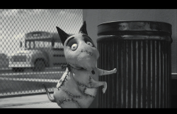 Frankenweenie2012-Film-147