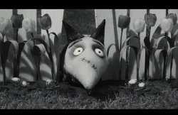 Frankenweenie2012-Film-150