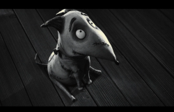 Frankenweenie2012-Film-163