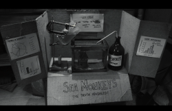 Frankenweenie2012-Film-173