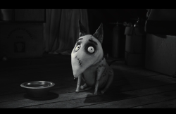 Frankenweenie2012-Film-181
