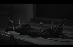 Frankenweenie2012-Film-249