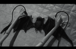 Frankenweenie2012-Film-258