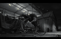 Frankenweenie2012-Film-302