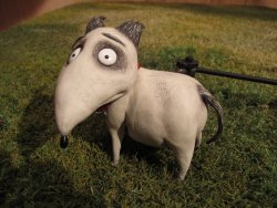 Frankenweenie-Tournage-131