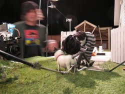 Frankenweenie-Tournage-136