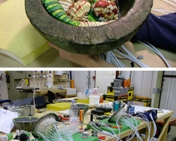 CharlieetlaChocolaterie-Production-Preproduction-38