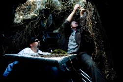 AliceauPaysdesMerveilles-Tournage-002
