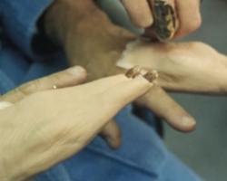 BatmanLeDefi-Production-PreProduction-175