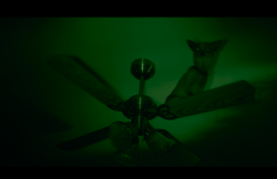 BeetlejuiceBeetlejuice-Film-018