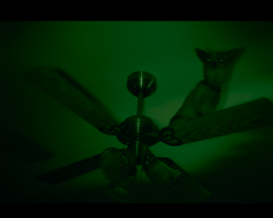 BeetlejuiceBeetlejuice-Film-018