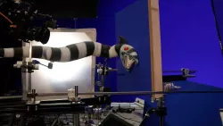 BeetlejuiceBeetlejuice-Tournage-117