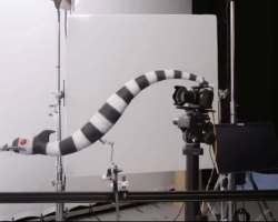 BeetlejuiceBeetlejuice-Production-Preproduction-112
