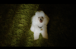 BigEyes-Film-178