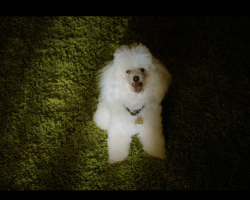 BigEyes-Film-178