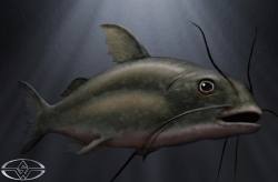 BigFish-Production-Croquis-18