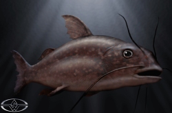 BigFish-Production-Croquis-19