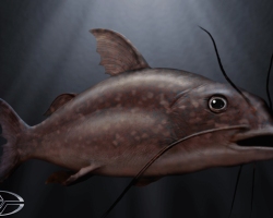 BigFish-Production-Croquis-19