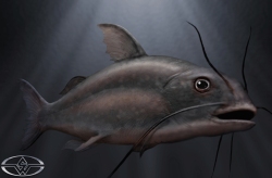 BigFish-Production-Croquis-21