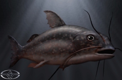 BigFish-Production-Croquis-22
