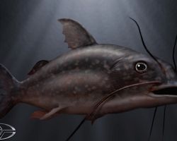BigFish-Production-Croquis-22