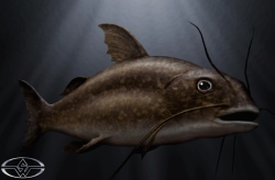 BigFish-Production-Croquis-23