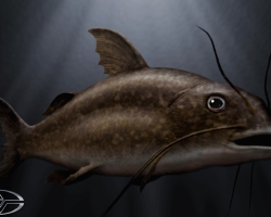 BigFish-Production-Croquis-23