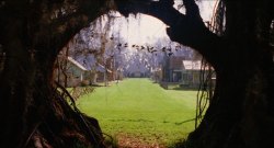BigFish-Film-21