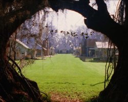 BigFish-Film-21