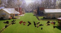 BigFish-Film-22