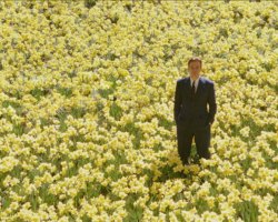 BigFish-Film-38